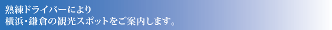 横浜観光を短時間でたっぷりと楽しむなら、地元の名所を知りつくしたドライバーにお任せください。